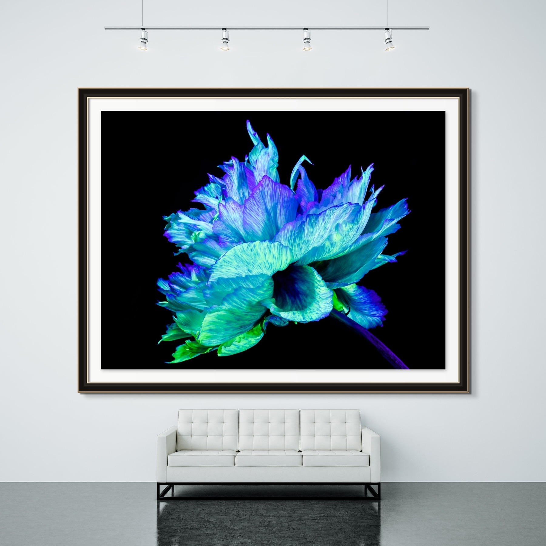Iridescence Peonia gfd