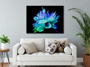 Iridescence Peonia jgug
