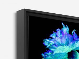 Iridescence Peonia