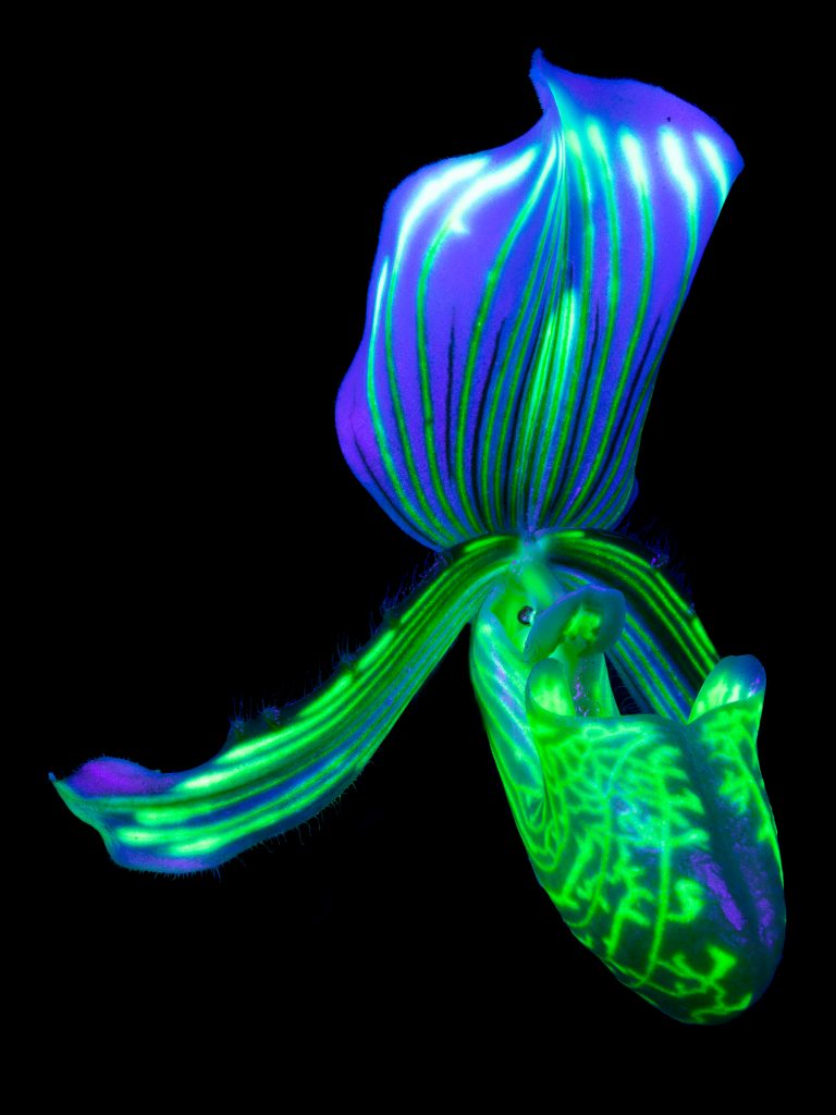 https://sitewebcharlesart.live-website.com/wp-content/uploads/2023/08/Two-light-way1-scaled.jpg