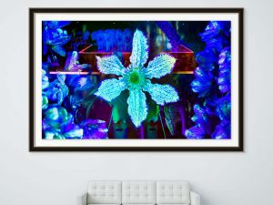 Star light_4